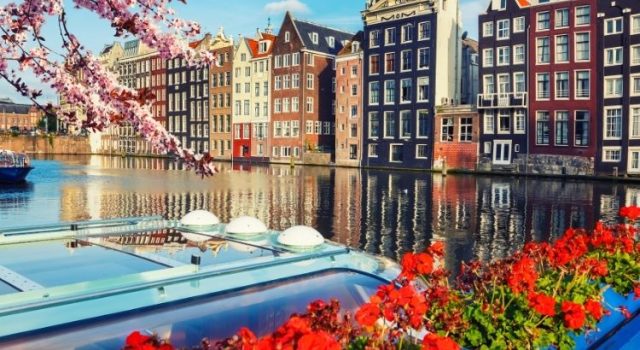amsterdam-spring-cherry-blooms-canal-view Amsterdam canals and historic canal houses decorated with spring cherry blossoms and colorful flowers by the water.