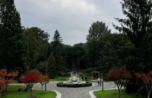 Istanbul in Spring Diaries: Chasing Judas Trees (Erguvan) & Tulips (2026) Park in Istanbul during spring with blooming trees, walking paths, and peaceful green landscape