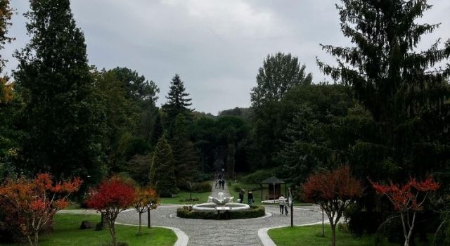 Park in Istanbul during spring with blooming trees, walking paths, and peaceful green landscape