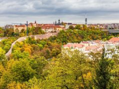 Žižkov Diaries: The Gritty, Artsy Side and the Crawling Babies (2026)