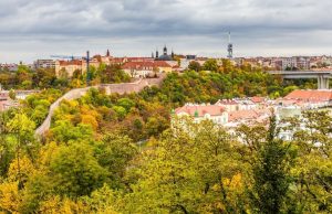 Žižkov Diaries: The Gritty, Artsy Side and the Crawling Babies (2026)