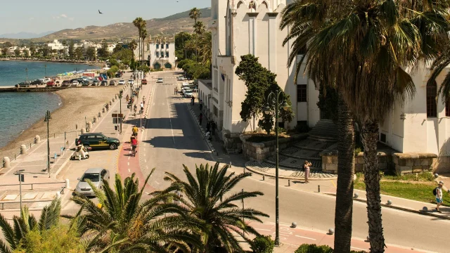 kos-pitaroudia-in-Zia