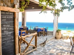 Rhodes Food Diaries Symi Shrimp in a Stegna Taverna 2026